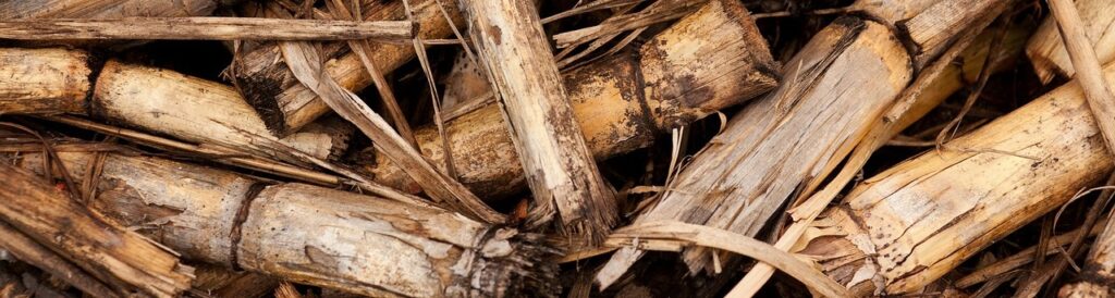¿Qué es la biomasa?