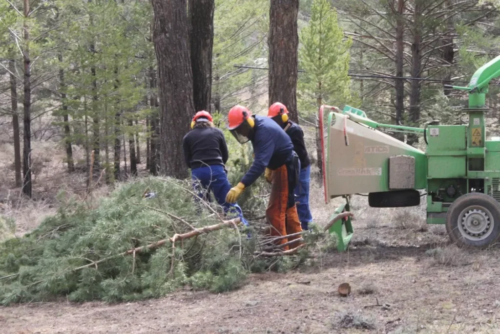 La Comunidad de Albarracín presenta un proyecto de revalorización de la biomasa forestal que afecta a 23 pueblos