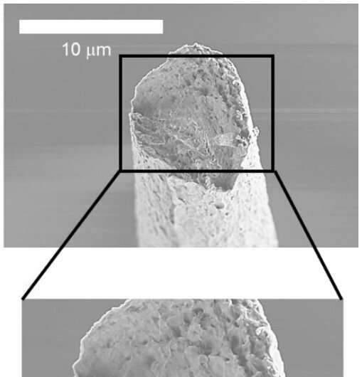 Las sorprendentes propiedades térmicas de las nanofibras de celulosa