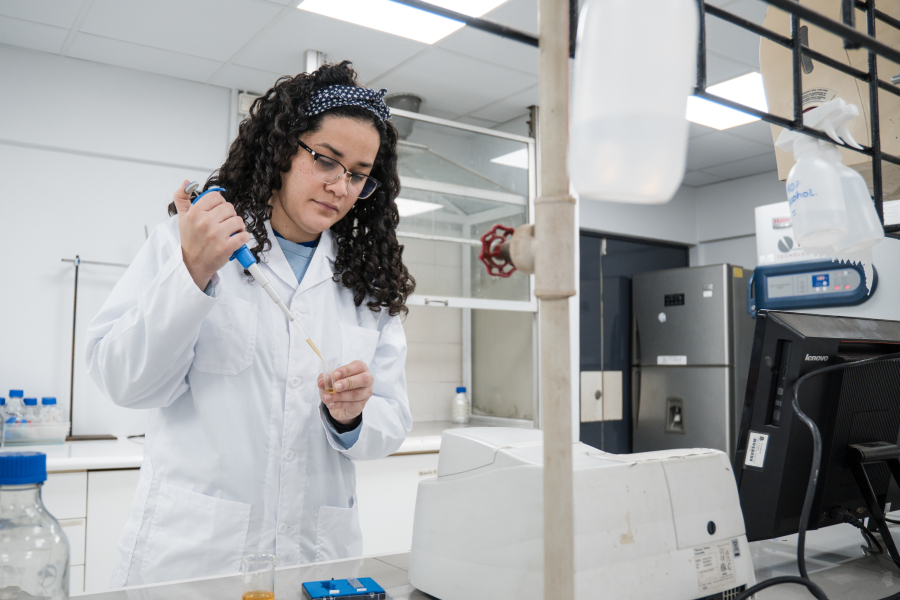 Estudiante de Doctorado de la Universidad de la Frontera investiga la valorización sostenible de la lignina usando nanomateriales magnéticos de la hoja del maqui