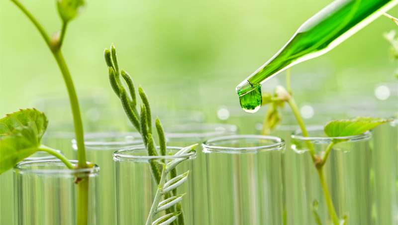 Las ventajas de la química verde para el control de plagas agrícolas y la valorización de biomasa
