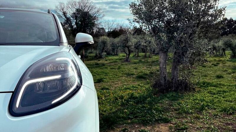 Ford transforma los residuos de olivo en piezas de automóvil sostenibles