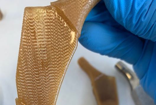 ¿Puede un biomaterial basado en residuos de remolacha regenerar huesos?