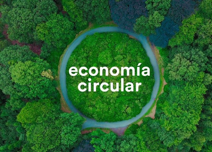 Qué es la economía circular y como funciona: respondemos a todas tus dudas