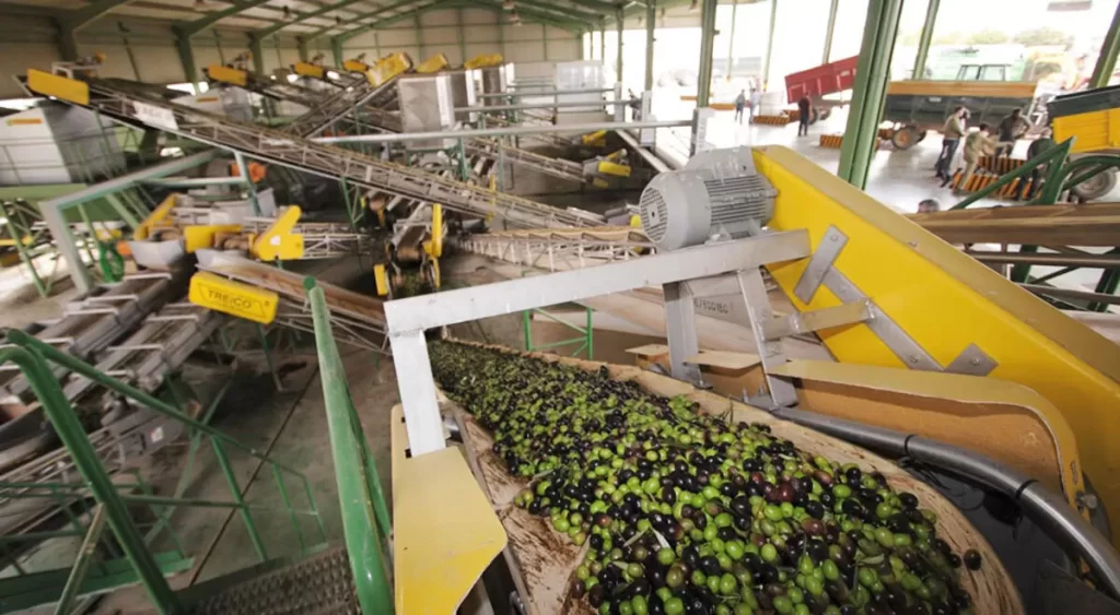 Andalucía destina 13 millones a proyectos para impulsar la transformación del alperujo en biocombustible