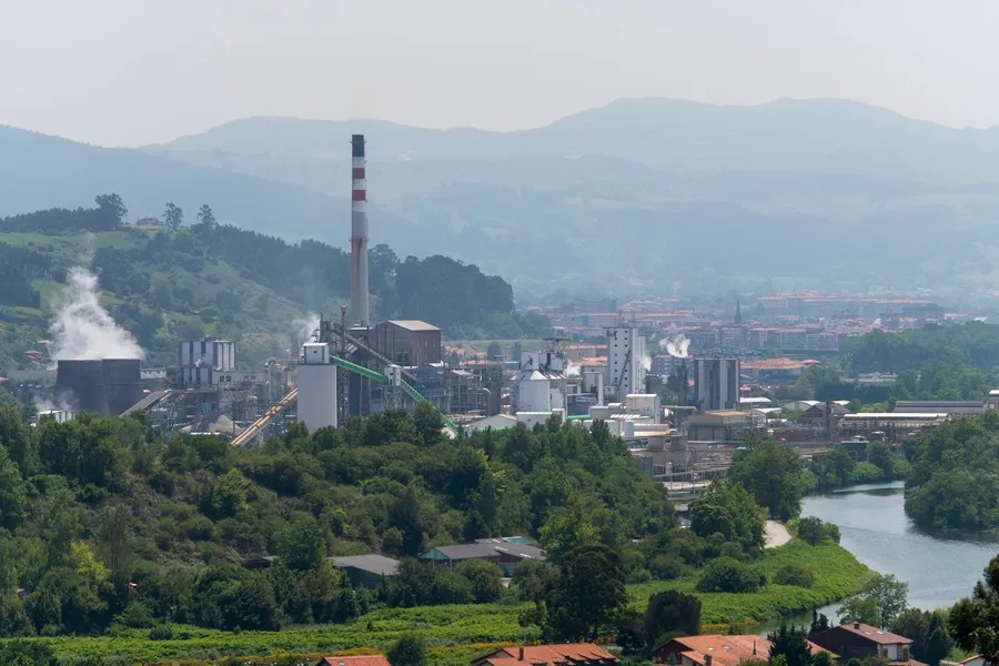 Solvay dispondrá en 2027 de la mayor planta de cogeneración con biomasa de España
