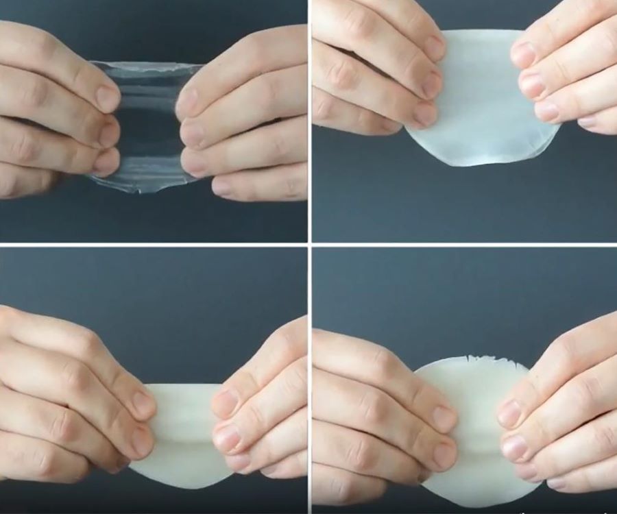 Investigadores chilenos obtienen un film biodegradable a partir de cáscara de huevo
