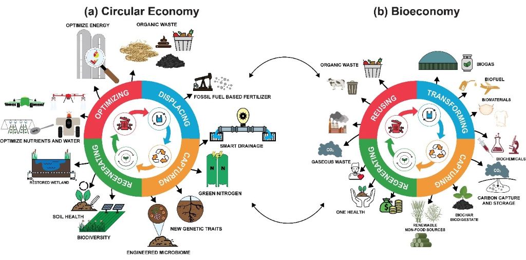 La transición a una bioeconomía circular requiere más incentivos e inversiones