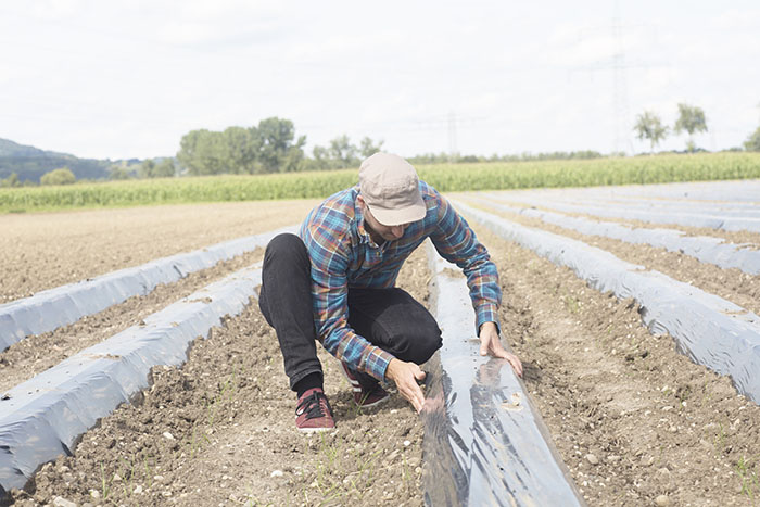 Luz verde de la UE al film agrícola biodegradable