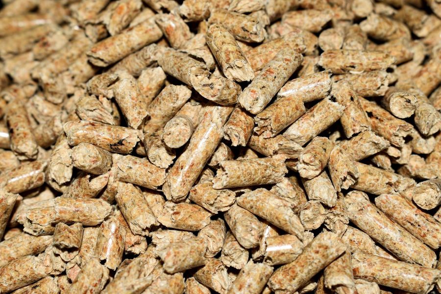 Talentya firma un acuerdo de PPA con Bioenergy Ibérica para su planta de pellets en Lugo