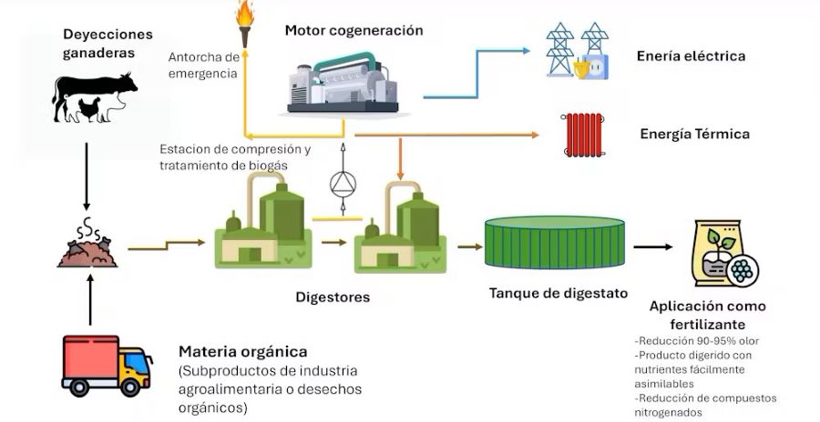 Residuos para la producción de biogás: biocombustible y materia prima para el impulso de tecnologías verdes