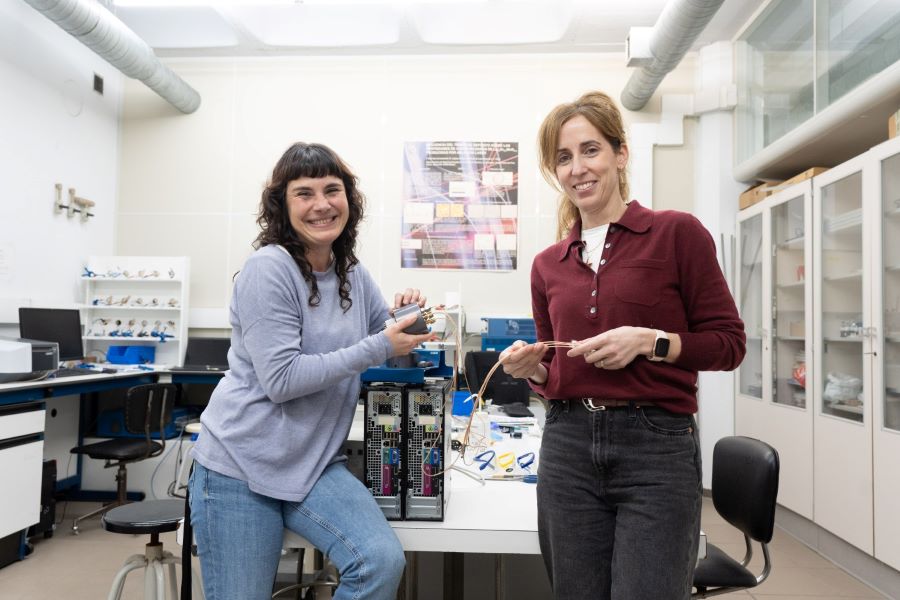 Diseñan un sistema económico de almacenamiento de energía de alta potencia a partir de biomasa del pino