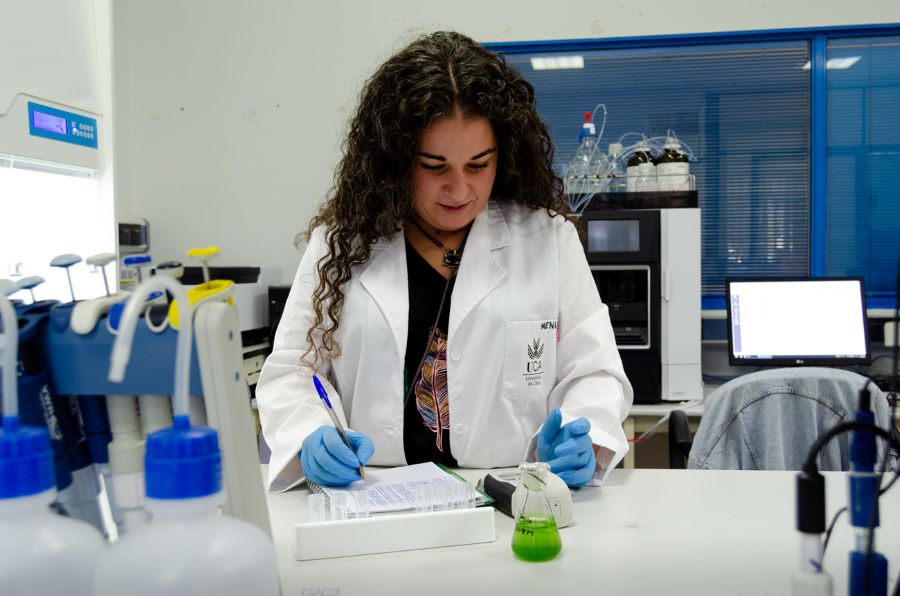 Obtienen hidrógeno verde a partir de residuos de vino y lodos de depuradora tratados con ozono