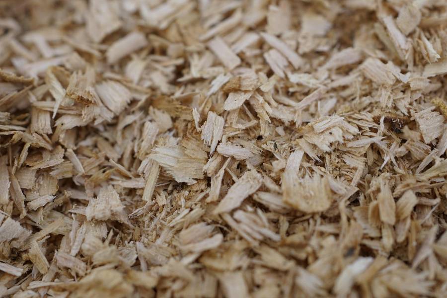 El proyecto NEXT-STEP desarrollará suelas de calzado a partir de residuos de madera