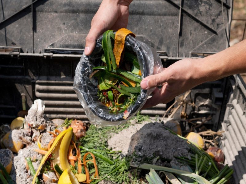 Valorización de residuos agroalimentarios para la producción de biocarbón de alto rendimiento con aplicaciones medioambientales