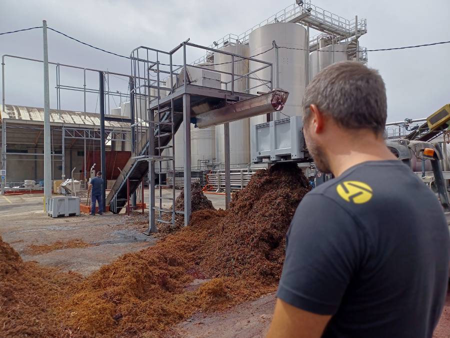 Residuos de uva, naranja y aceituna se convierten en ingredientes para alimentación animal