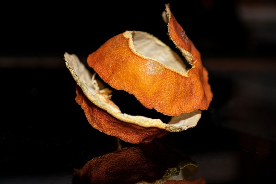 Investigadores andaluces convierten residuos de naranja en hidrógeno verde Investigadores andaluces convierten residuos de naranja en hidrógeno verde