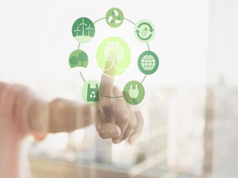 Conversión de algas invasoras en materiales sostenibles: innovación para la economía circular