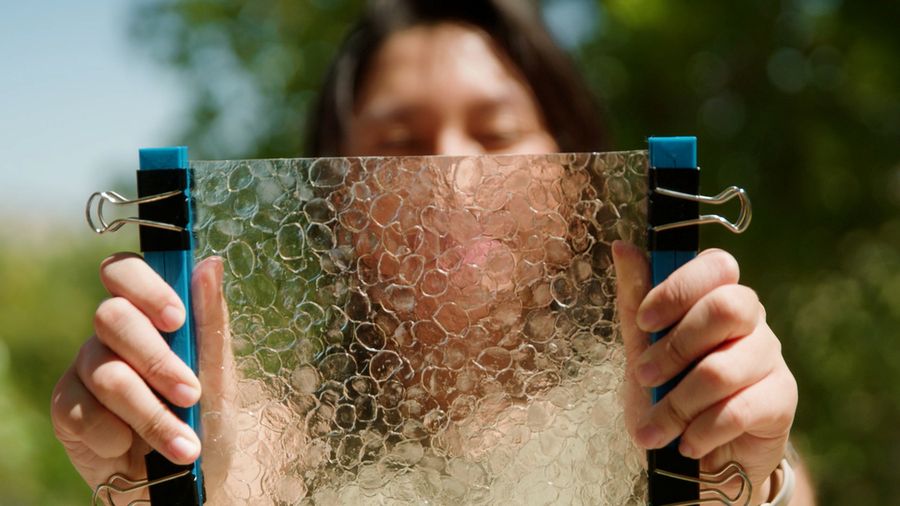 Una estudiante del MIT convierte las escamas de pescado en plástico biodegradable