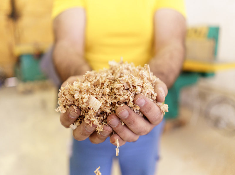 Desarrollo y optimización de biocomposites a partir de residuos de mijo perla para placas de techo sostenibles