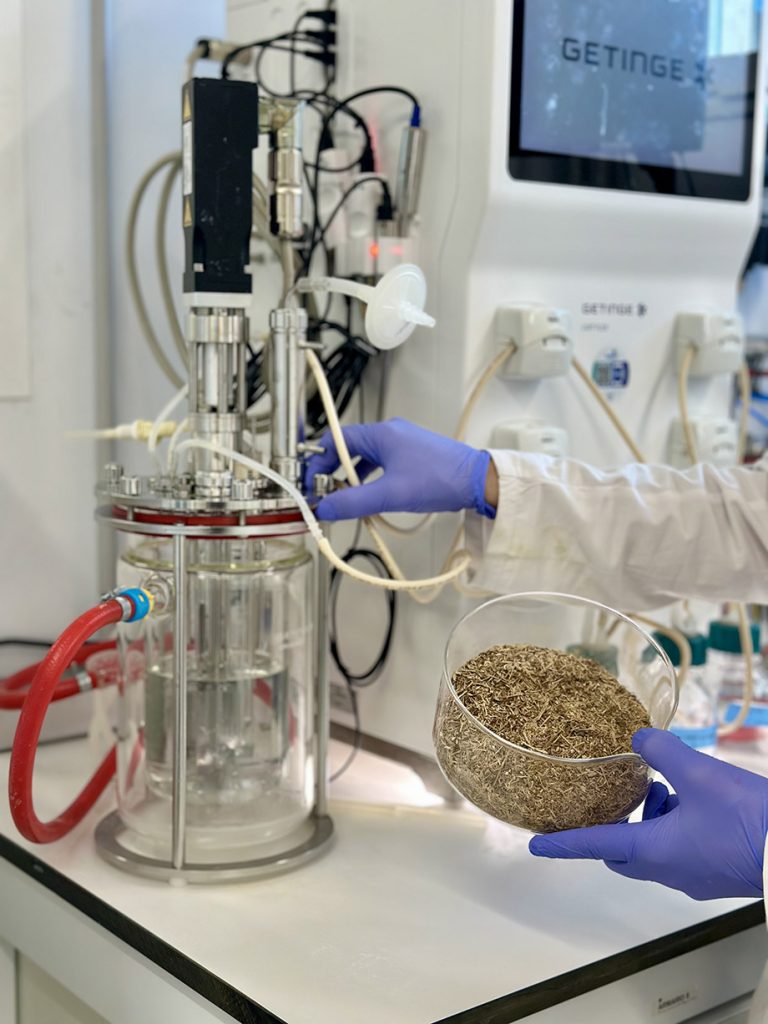 BIOVALSA: bioplásticos a partir de paja de arroz y poda de cítricos BIOVALSA: bioplásticos a partir de paja de arroz y poda de cítricos